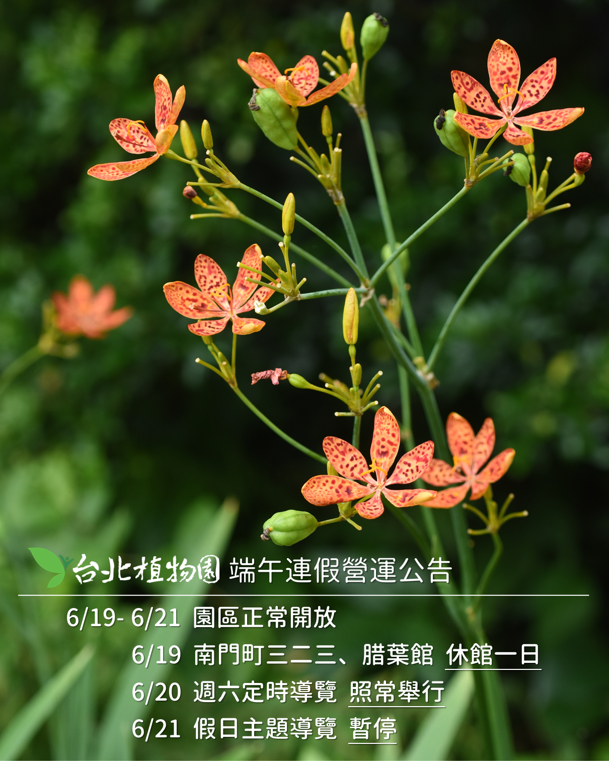 2026年端午連假營運公告