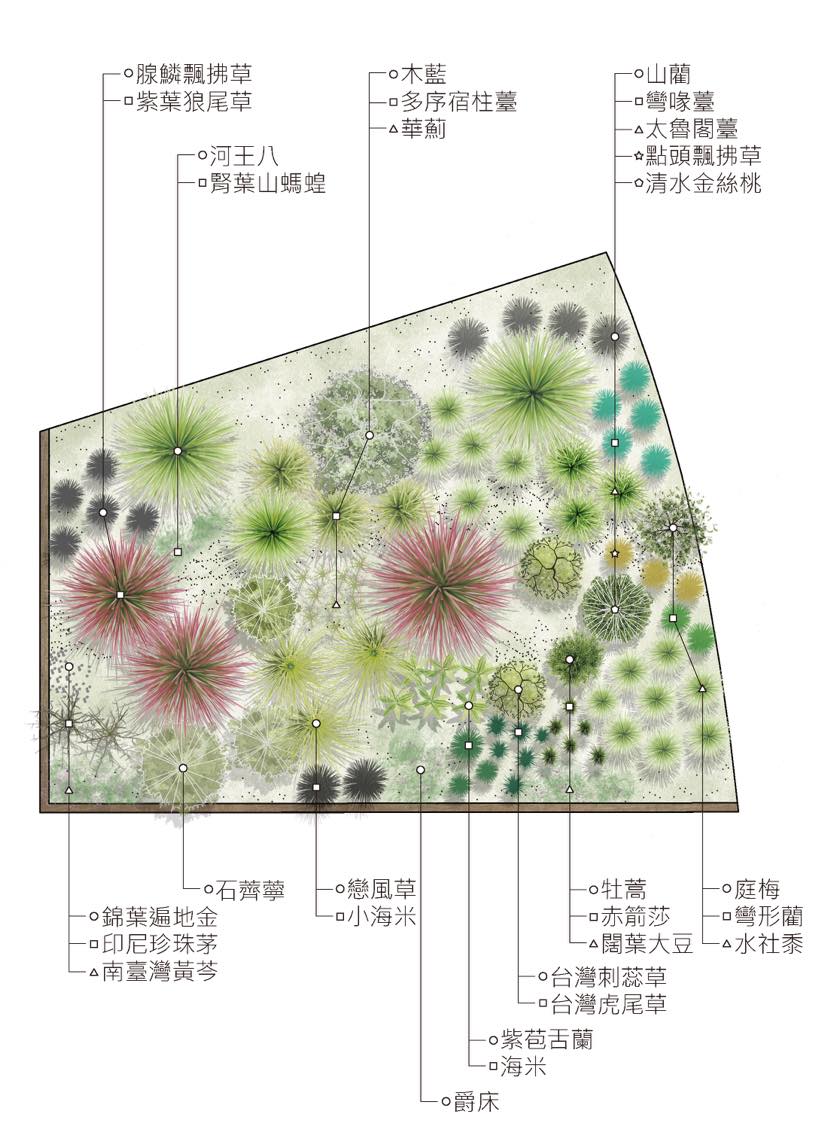 野花草園的植栽名稱及位置對照圖 野花草園的植栽名稱及位置對照圖