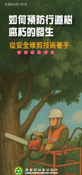 推廣摺頁：第178號，最新上線！