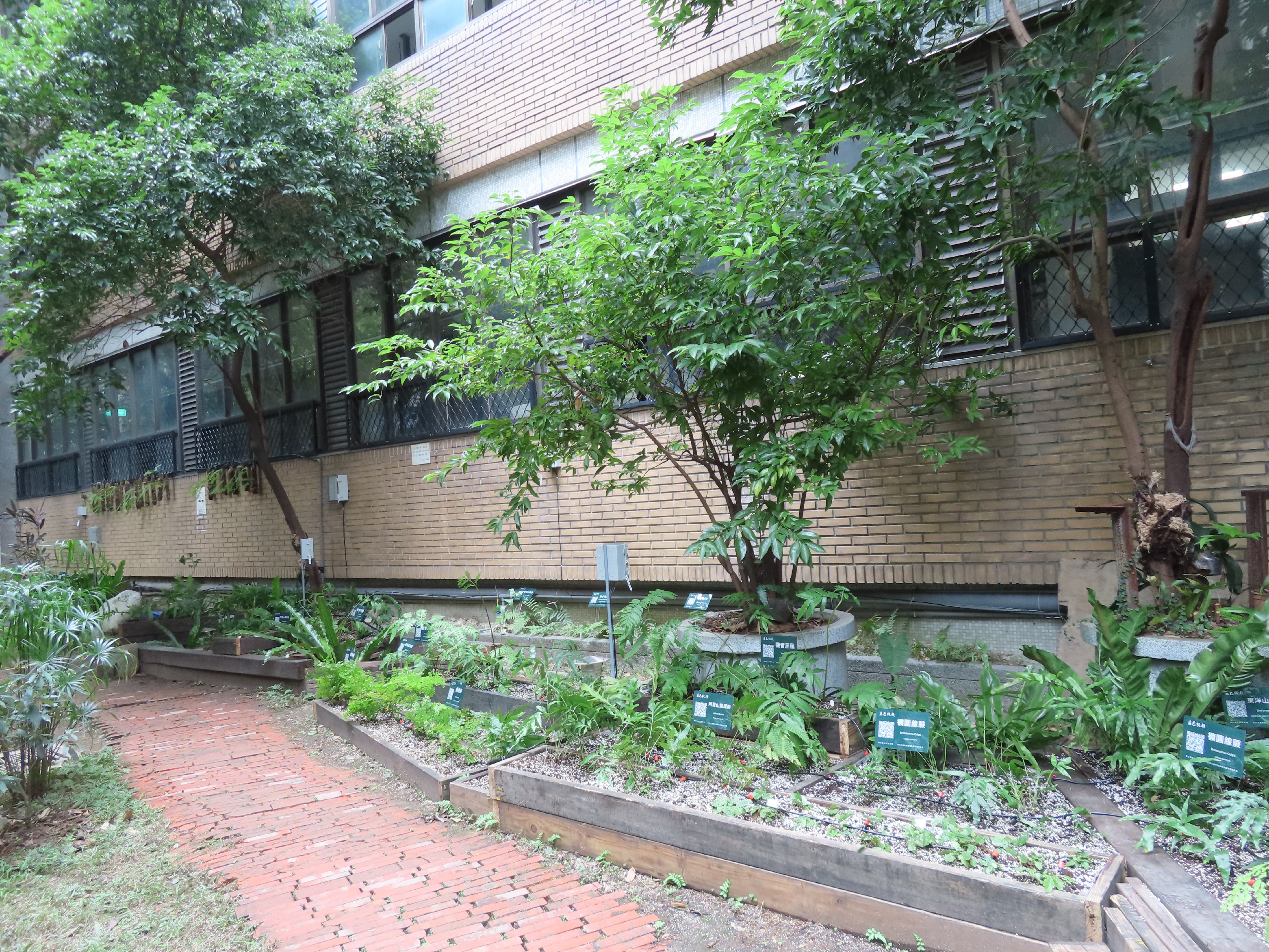 全國首座蕨類試驗校園
