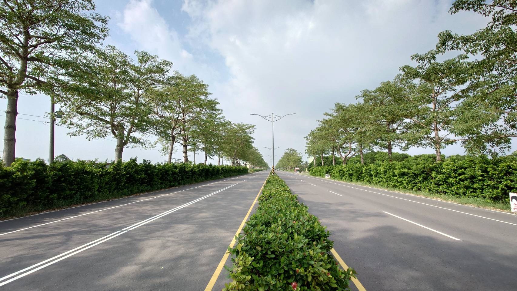 屏鵝綠廊再進化！ 第二屆研討會聚焦原生景觀營造成果，共築抗災永續新里程碑