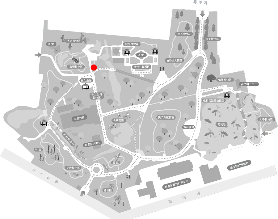 串鼻龍的植栽位置圖