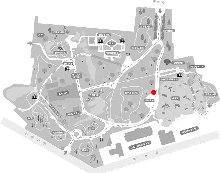 刺葉黃褥花的植栽位置圖