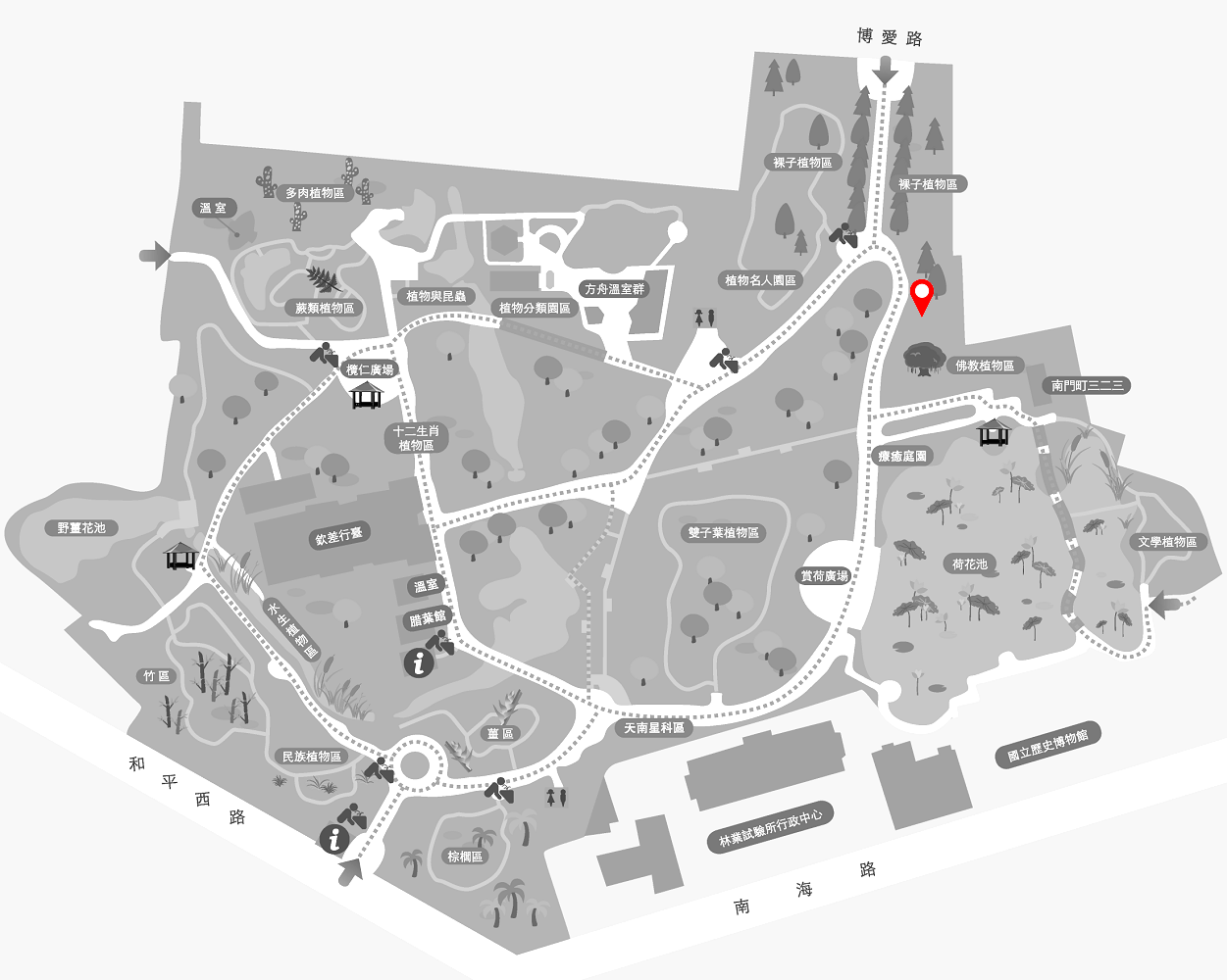 地湧金蓮的植栽位置圖