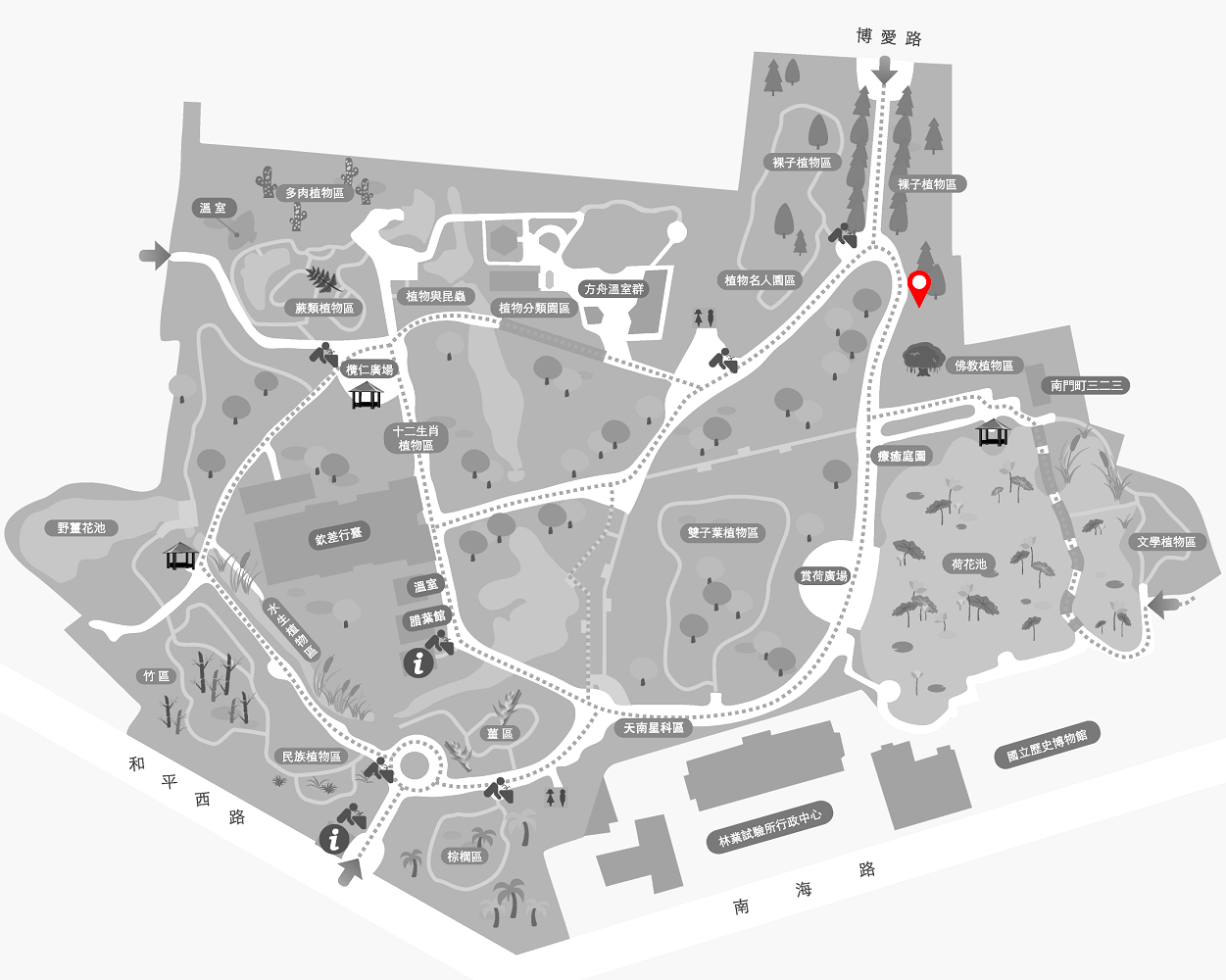 地湧金蓮的植栽位置圖