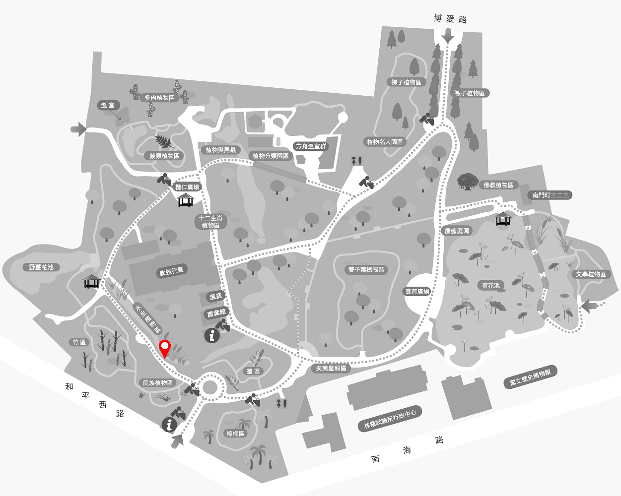 大安水蓑衣的植栽位置圖