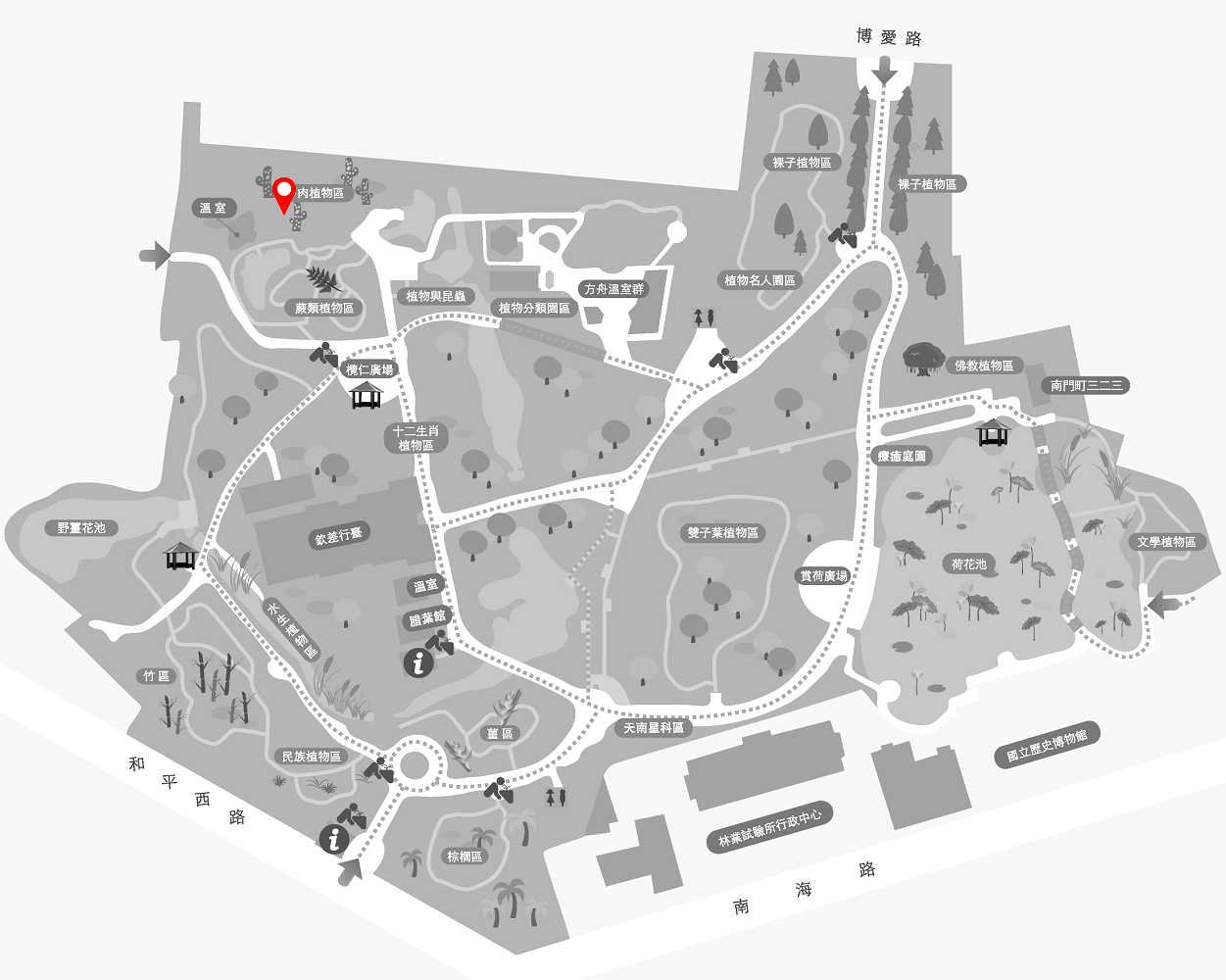 小刺桐的植栽位置圖