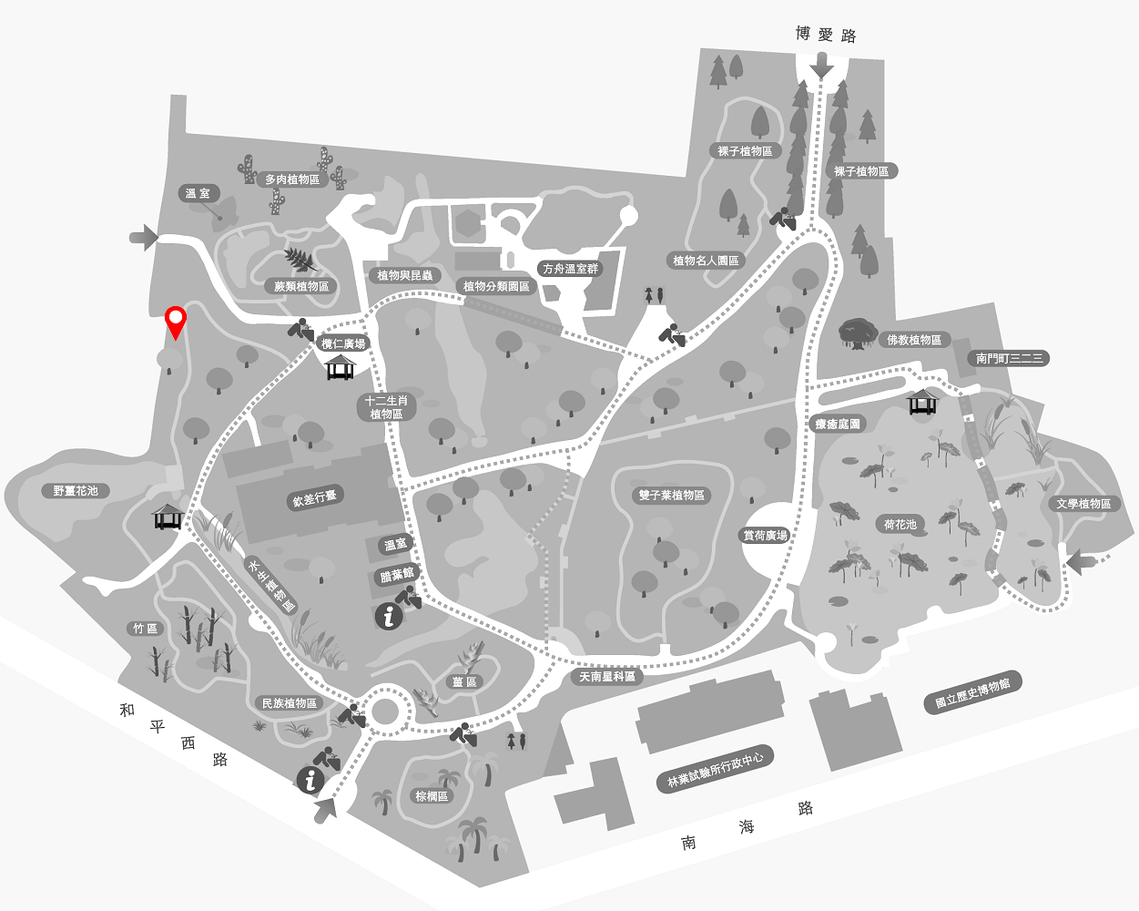 彩虹桉的植栽位置圖