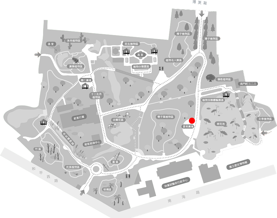 早田氏爵床的植栽位置圖