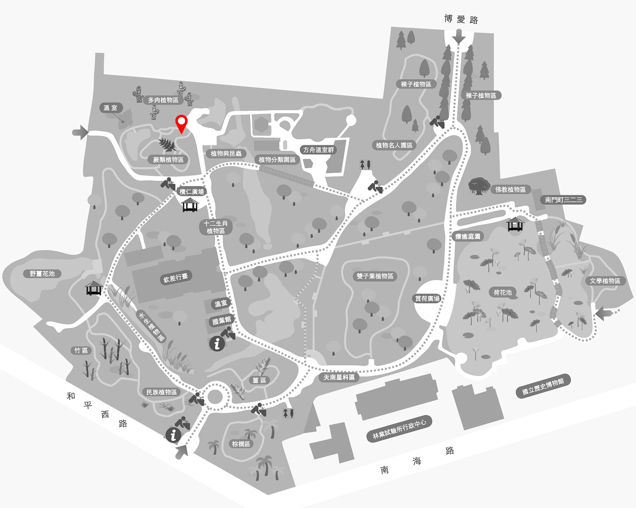 松葉蕨的植栽位置圖