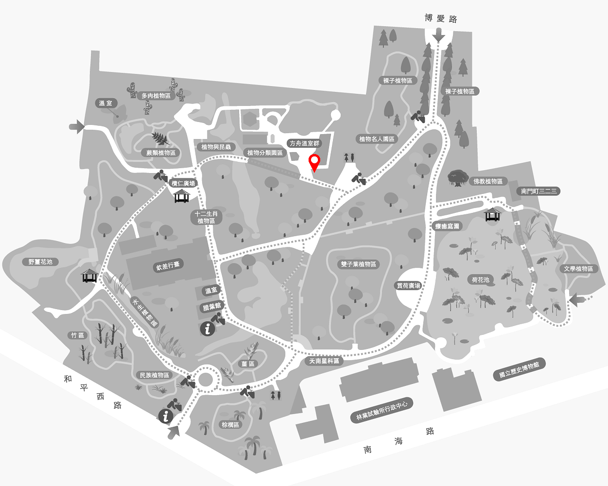 梵天花的植栽位置圖