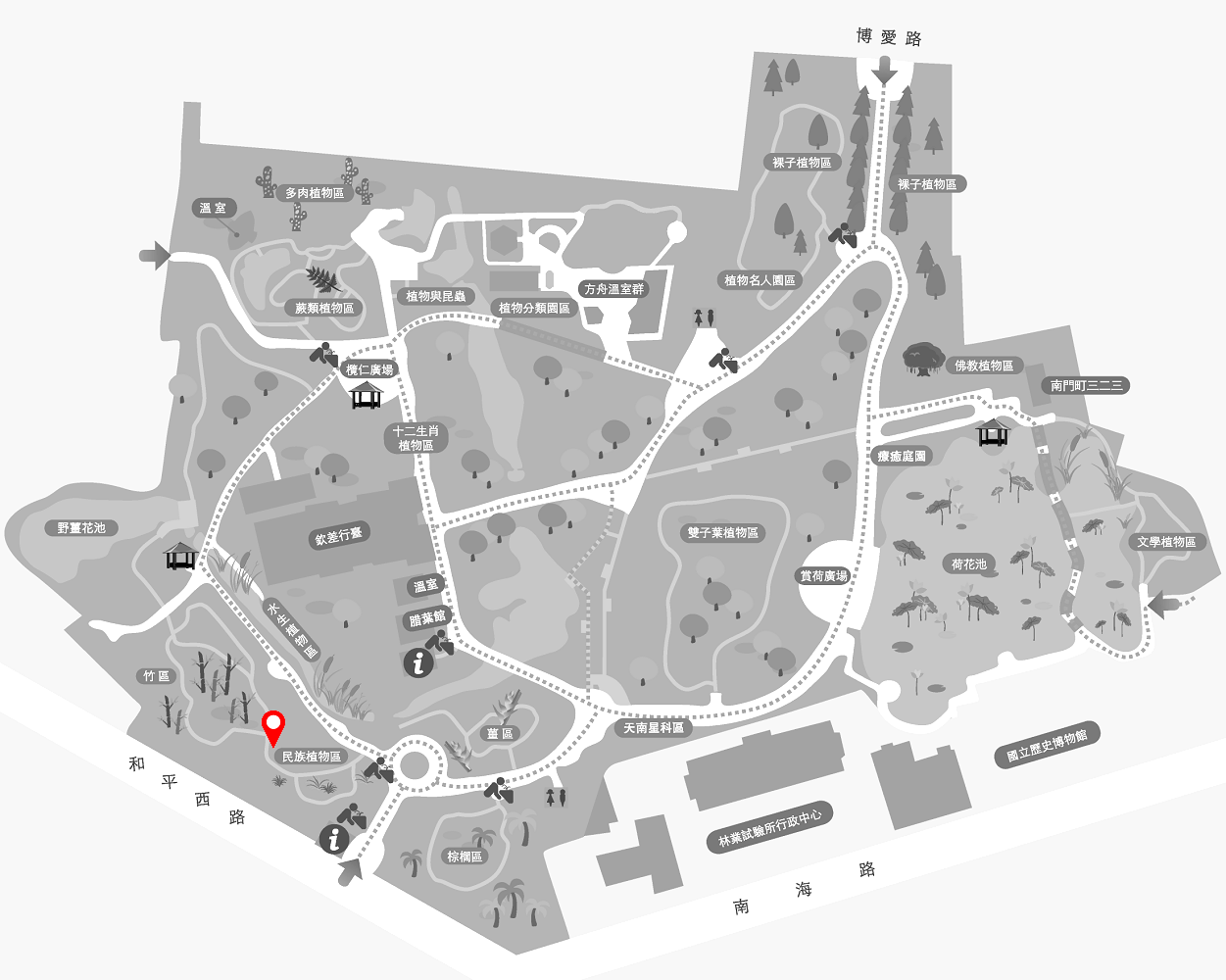 白背芒的植栽位置圖