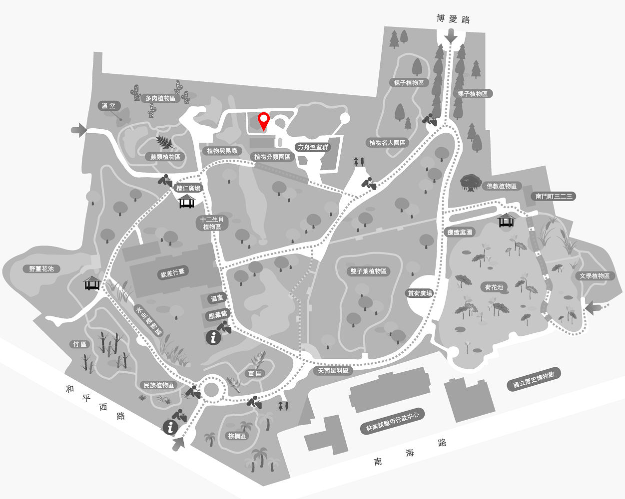 紅花石蒜的植栽位置圖