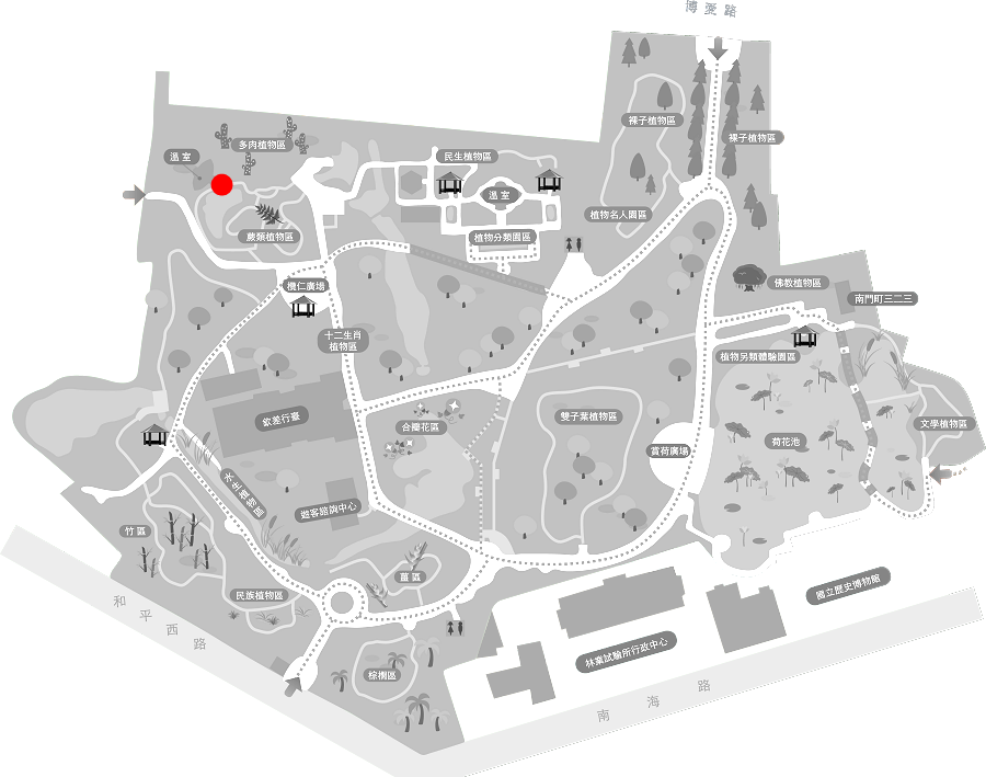 草海桐的植栽位置圖