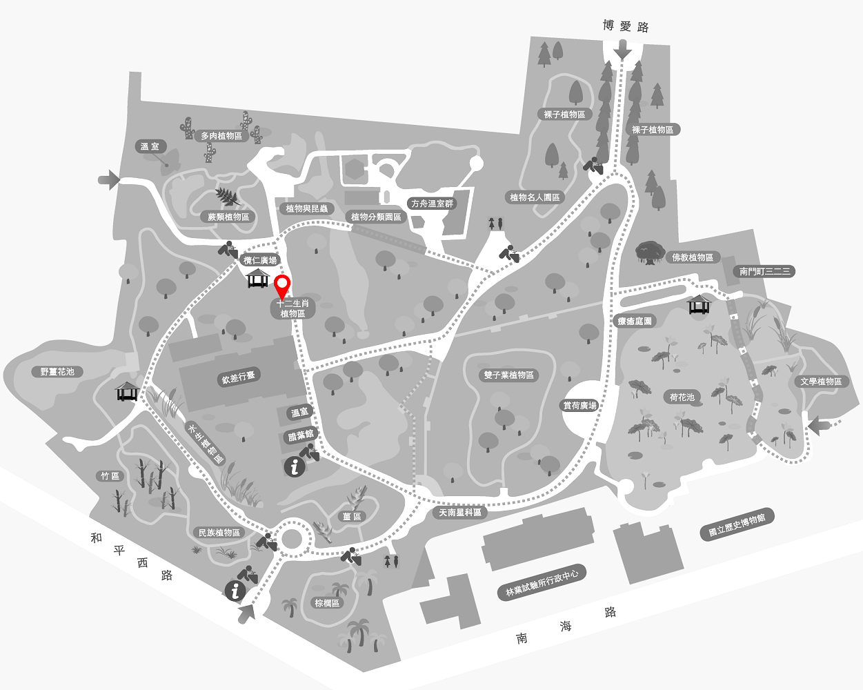 馬利筋的植栽位置圖