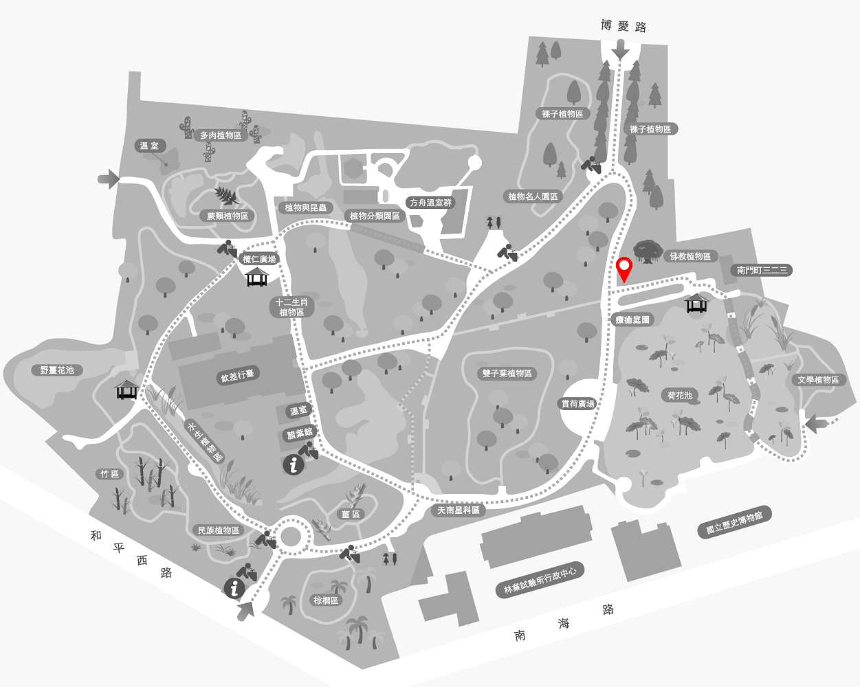 黃花曼陀羅的植栽位置圖